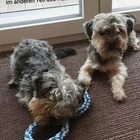 Auszeit Im Jugendstil *